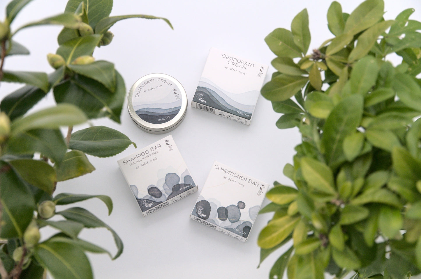 Deodorant cream in tin - No alcohol and aluminium - No added scent - Vegan